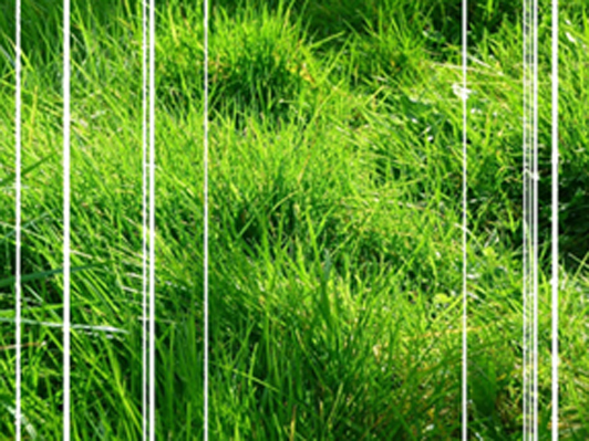 L’environnement dans le dialogue avec les consommateurs