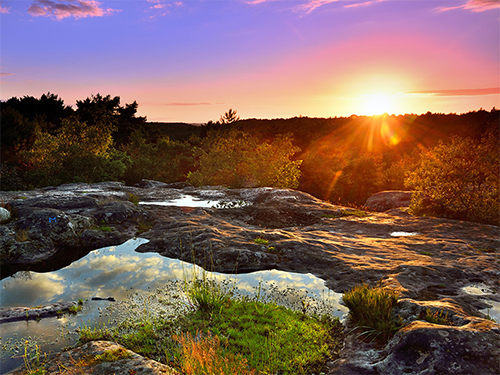2022 : quelle année !