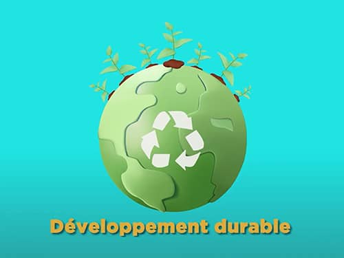 Véracité, impacts éco-citoyens, présentation visuelle, labels et logos : les autres signes de greenwashing